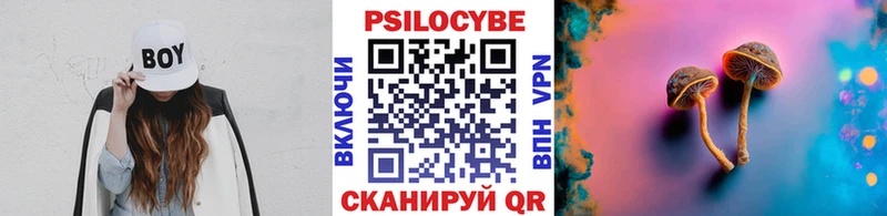 Псилоцибиновые грибы прущие грибы  Баксан 